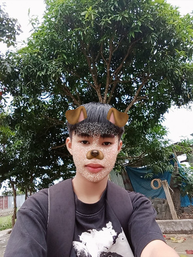 ttn image 2023 12 03 155206085.jpg