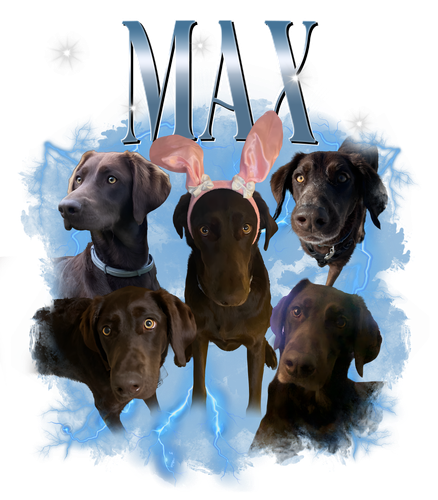 MAX.png