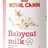 Babycat Milk
