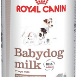 BabyDog Milk