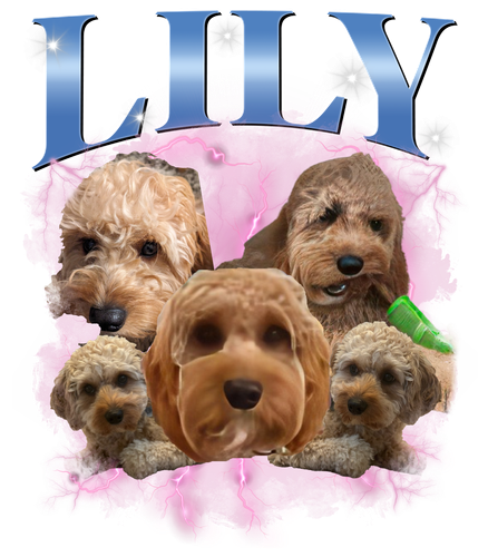 Lily 2.png
