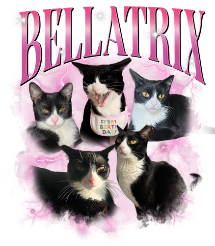 3124532204.png