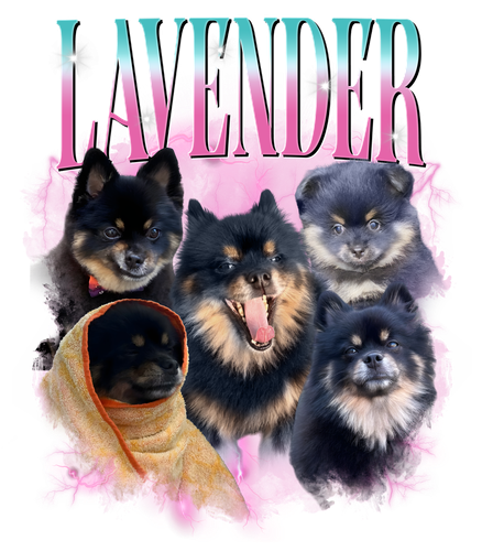 lavender.png