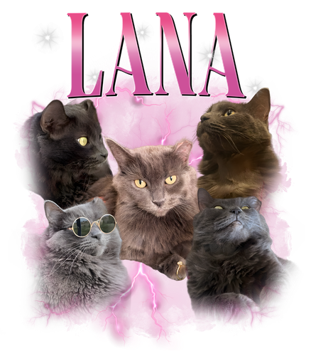 lana.png