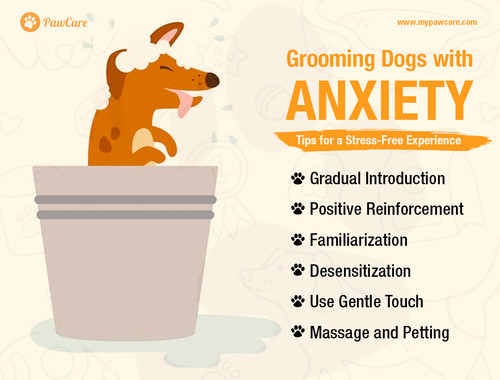 Grooming Dogs with Anxiety Tips for a Stress Free Experience.jpg