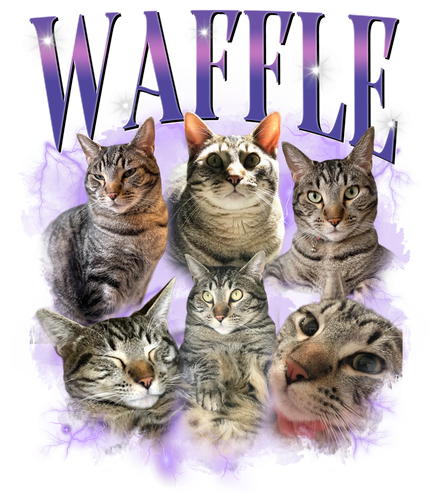 3110913157.png