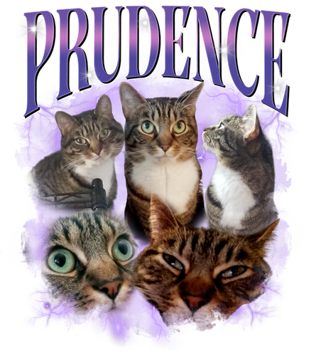 3121500286.png