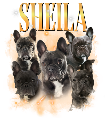 sheila.png