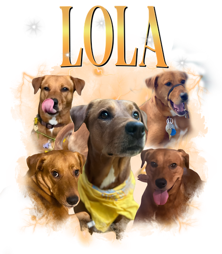 lola.png