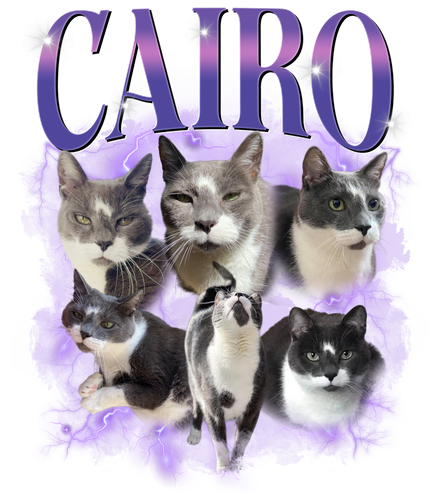 3118836790.png