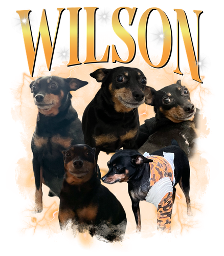 3119288224.png