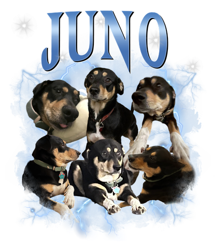 juno.png
