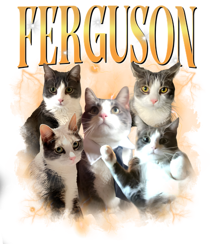 ferguson.png