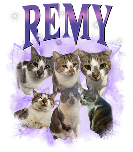 remy.png