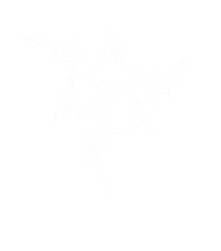 BERSERKS 68211 pf.png