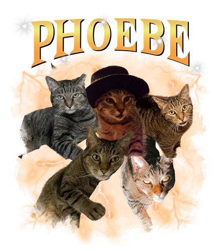 phoebe.png