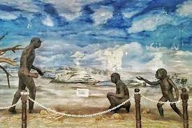 Museum Situs Trinil(1).jpg