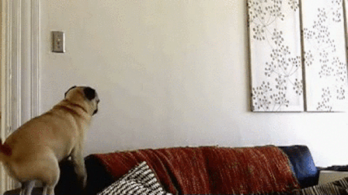 4 a6d40f4350.gif