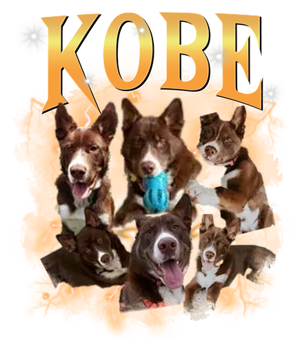 kobe.png