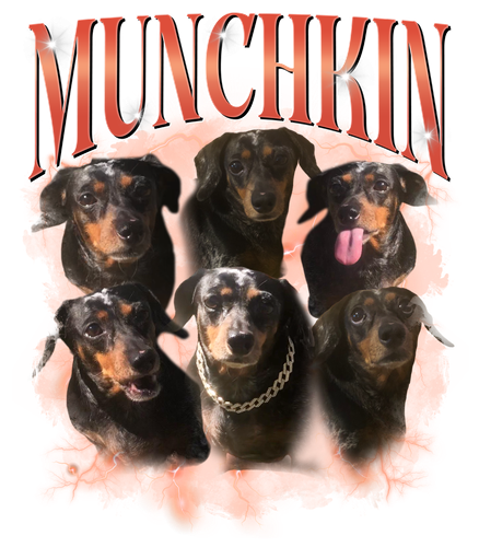3111690364.png
