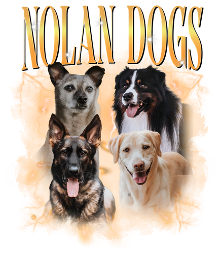 nolan dogs.png