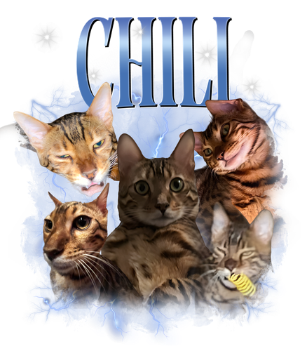 chili.png