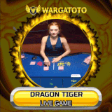 DRAGON TIGER.gif