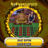 24DSPIN.gif