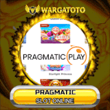 PRAGMATIC.gif