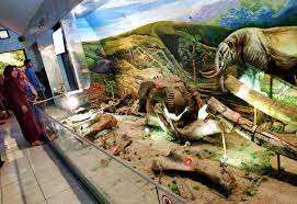 Museum Manusia Purba Klaster Ngebung(1).jpg