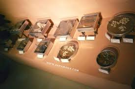 Museum Manusia Purba Manyarejo(5).jpg