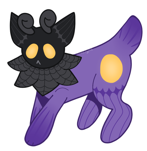 IMG 6256.png