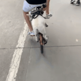 BbsImg 1637065741 s 2604495 o w 200 h 355 82302