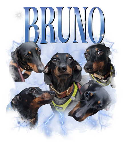 bruno.png