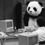 frustration reactions.gif