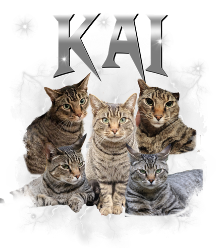 kai.png