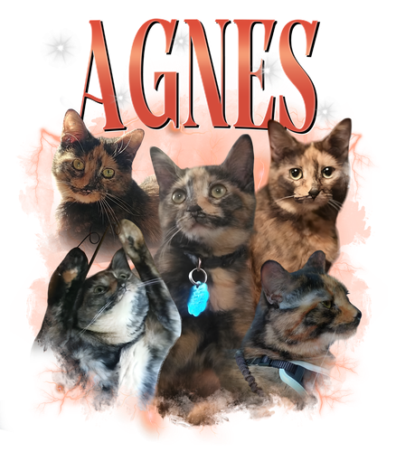 agnes.png