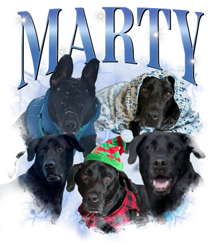 MARTY 9.png