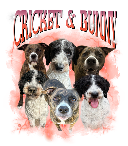 cricket&bunny sửa.png