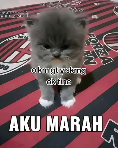 undefined.jpg
