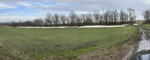 IMG 5030.jpg