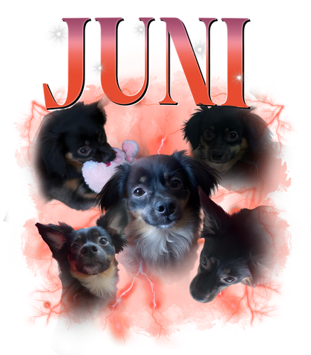 juni.png