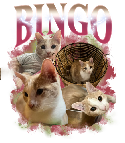 Bingo.png