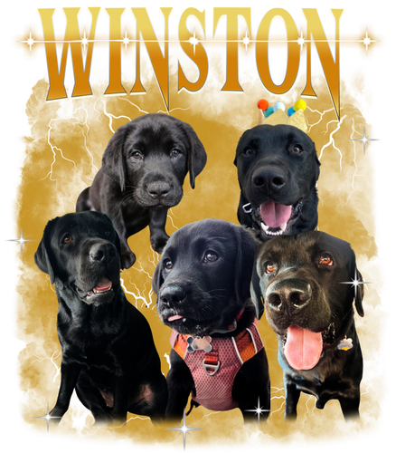 Winston.png