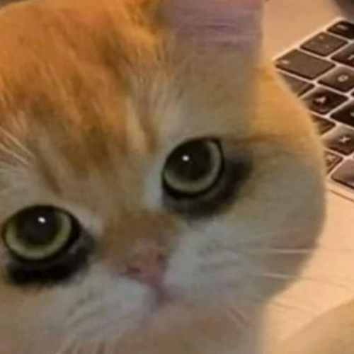 undefined.png