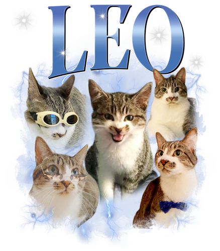 3115003691 LEO 7.png