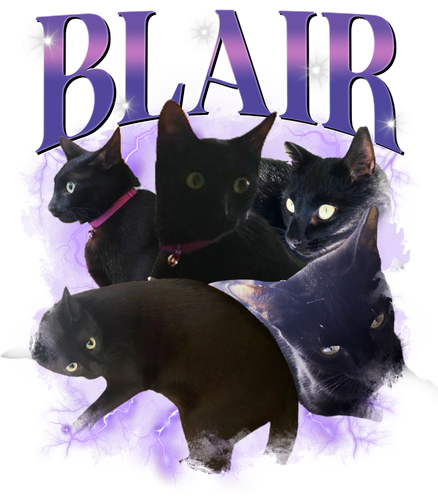 Blair 2.png