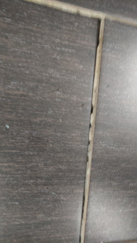 IMG 20231120 144216.jpg