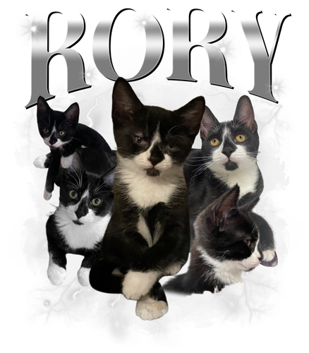 Rory 3.png