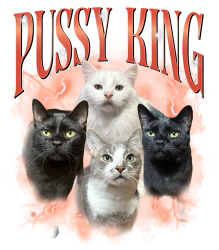 PSD style 1.png